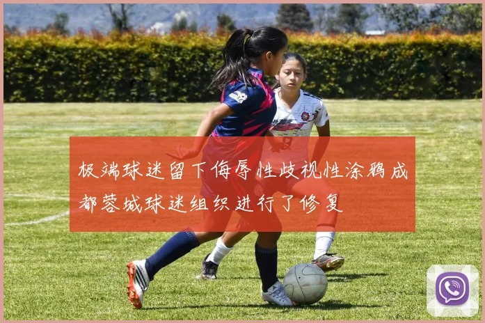 极端球迷留下侮辱性歧视性涂鸦成都蓉城球迷组织进行了修复
