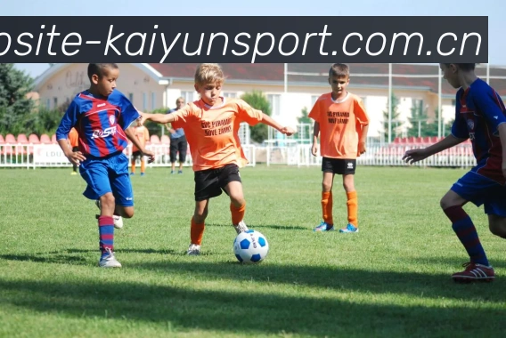 数据防护可视化